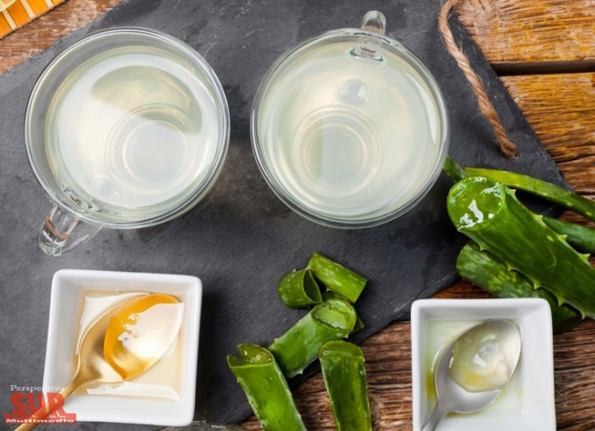 Beneficios del aloe vera una planta súper poderosa