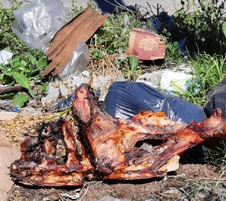 Volvieron a arrojar residuos contaminantes en Bernal Oeste