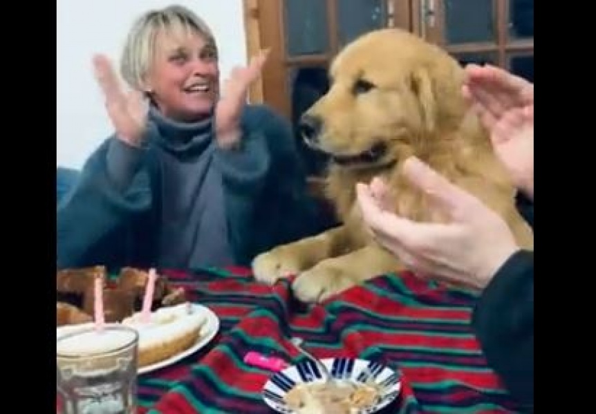 VIDEO: La felicidad de un perro por cumplir aos