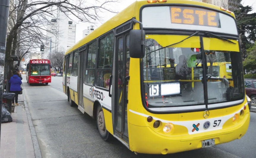 La Plata: Empuj a una jubilada del colectivo y escap