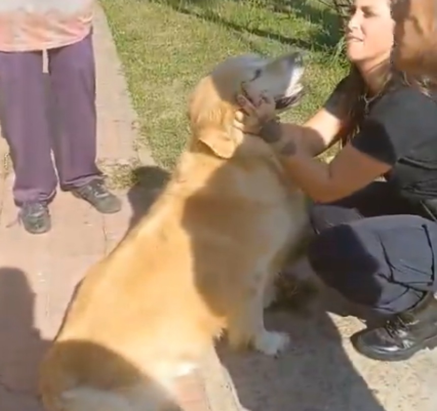 Una mujer llev a faenar a su perro a una carnicera y la denunciaron