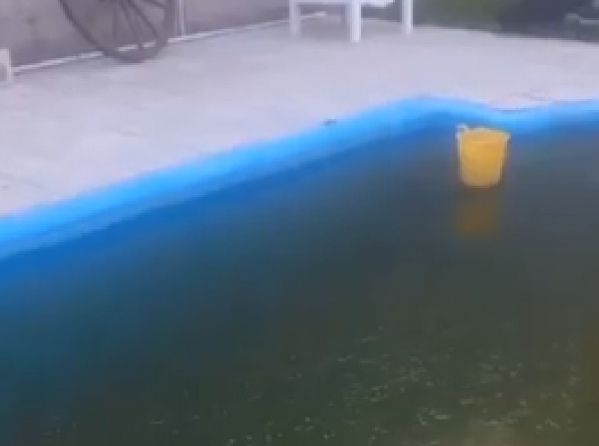 VIDEO | Por las bajas temperaturas en Buenos Aires, se congela el agua de las piletas en las casas