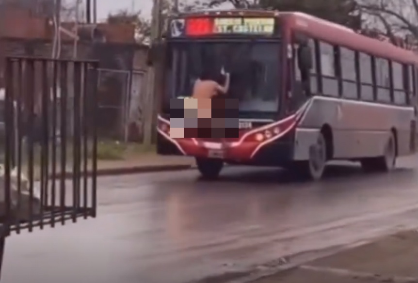 VIDEO | Desnudo, se colg del parabrisas de un colectivo, y viaj varios metros