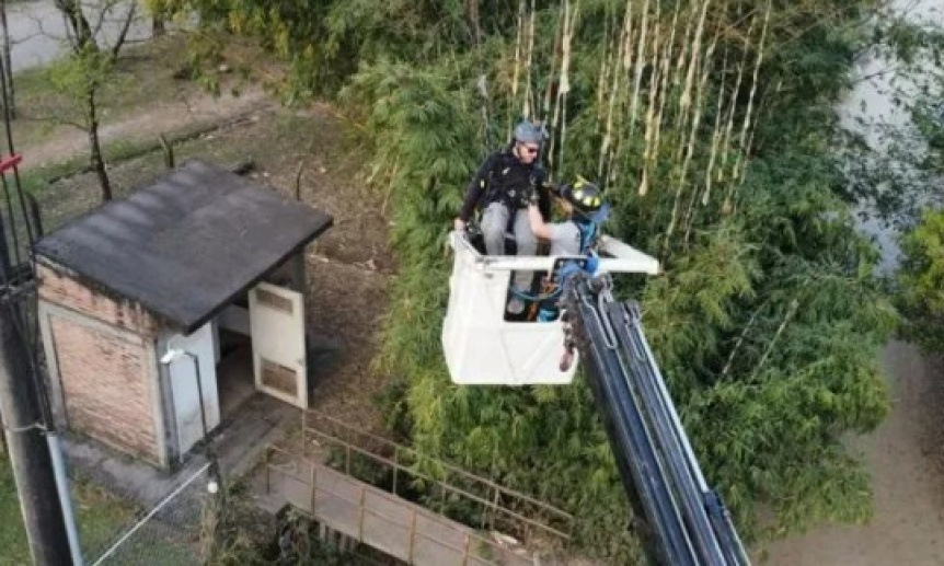 VIDEO | Un parapente qued atrapado en cables de alta tensin y debi ser rescatado