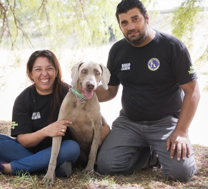 Lanzan campaa solidaria para ayudar al perro  de bsqueda y rescate  Bruno