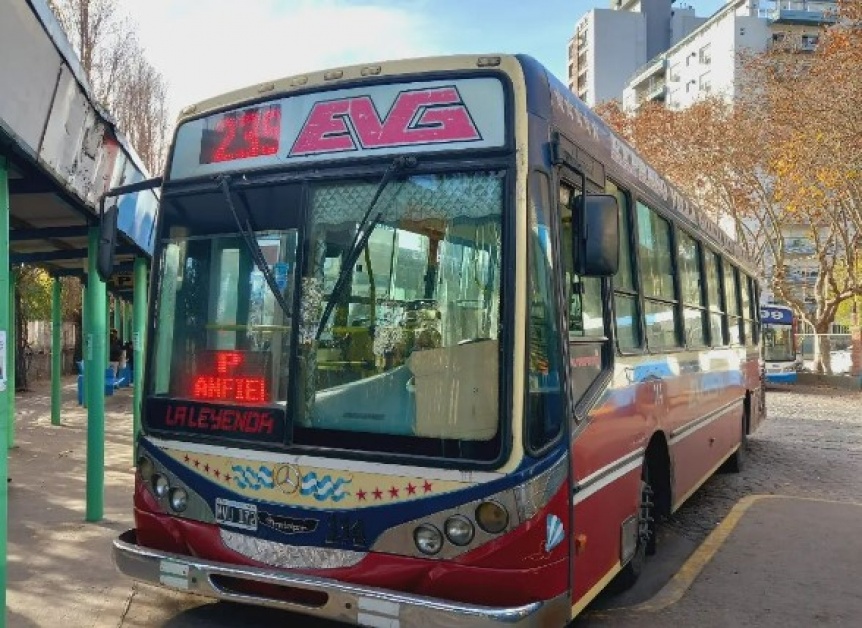 VIDEO | Violento Da del Colectivero: Un chofer sufri una agresin que se volvi viral