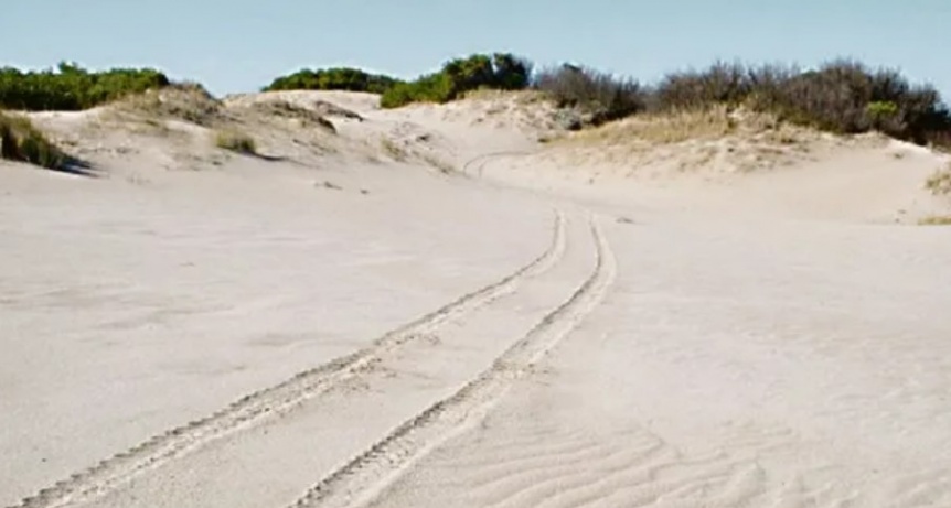 Una mujer fue detenida por intentar robarse un mdano entero de la playa