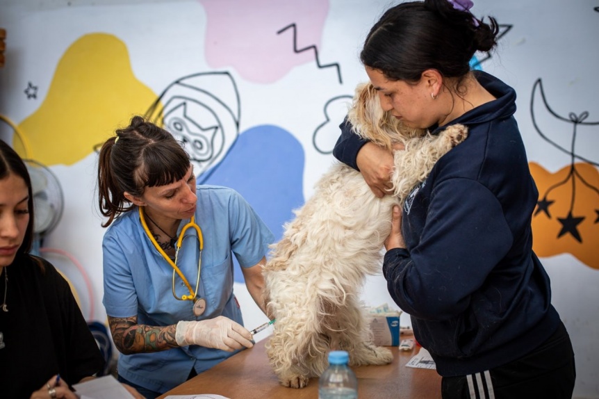 200 animales atendidos en un nuevo megaoperativo de zoonosis en Quilmes Oeste