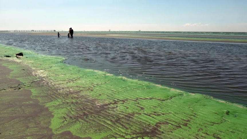 Cianosemforo: Alerta Naranja para lagunas y ninguna para el Ro de la Plata