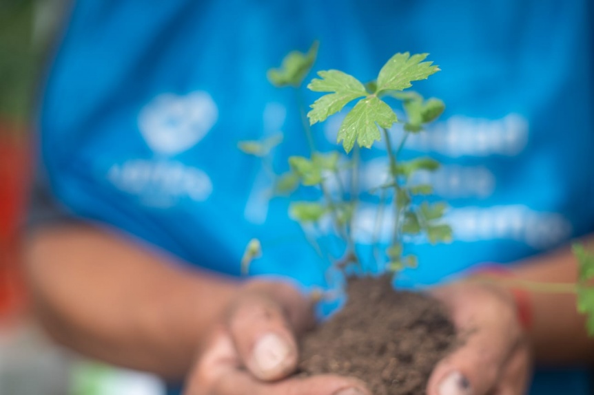 El operativo Ambiente S llega a Lans Este: Conoc los detalles