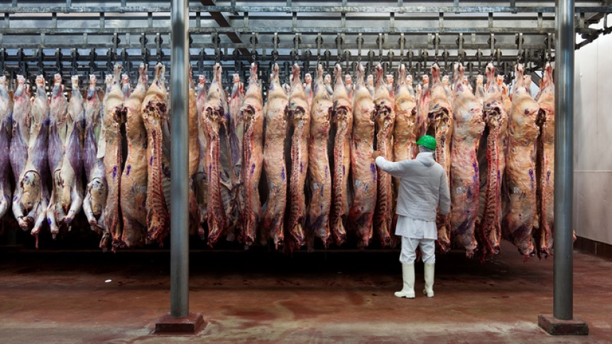 Creci la exportacin de carne vacuna y es el mejor momento del rubro en 57 aos