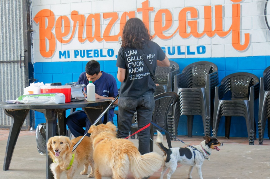 Berazategui: Nuevas jornadas de salud animal gratuitas en noviembre