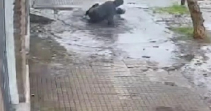 Le hunden la cabeza en un charco a una mujer durante un brutal robo