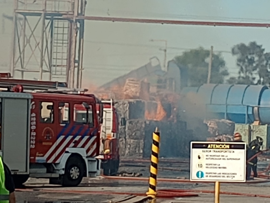 VIDEO | Gran tensin en Berazategui por un incendio desatado en la papelera ex Zucamor