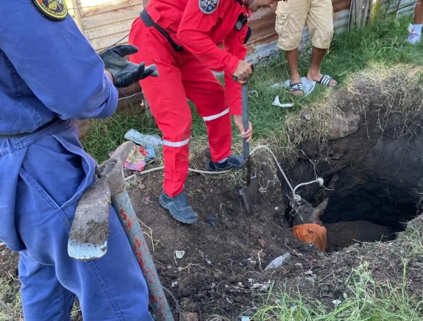 Rescate en Altos de San Lorenzo de un caballo que cay en un pozo de tres metros de profundidad