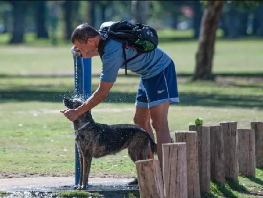 La ola de calor llegar a su pico mximo esta semana: Alerta amarilla y prevencin