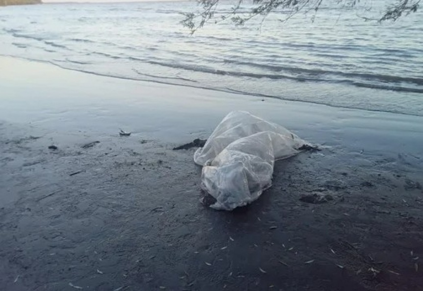 Encontraron el cuerpo sin vida de un pescador que se haba arrojado al Ro de la Plata