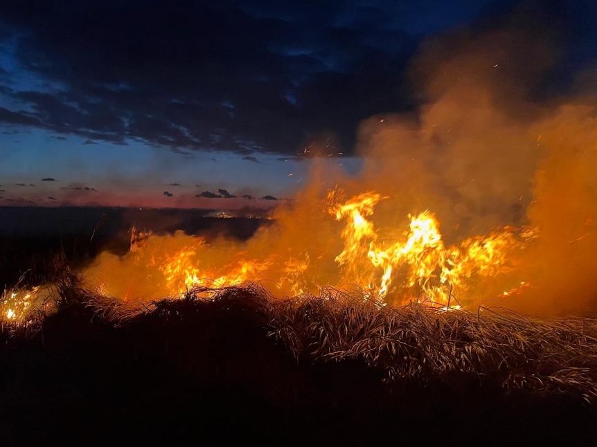 VIDEO | El fuego no da tregua: Continan apagando el incendio en la Reserva Natural de Hudson