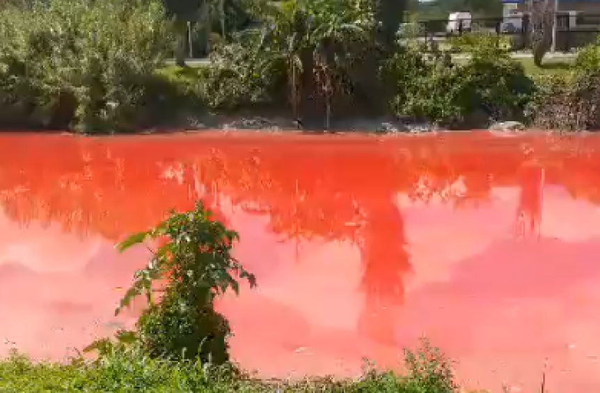 Se ti de rojo el Arroyo Sarand: Por qu sucedi y cuales son las consecuencias