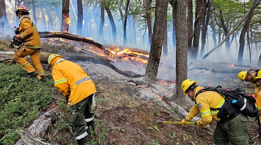 Incendios: Provincia enva brigadistas a Neuqun y refuerza recursos en Ro Negro