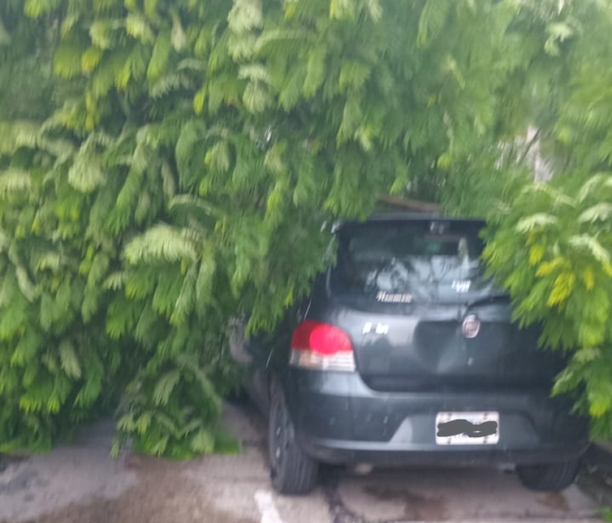 Feroz tormenta de viento y lluvia dej rboles cados, trenes interrumpidos y techos volados