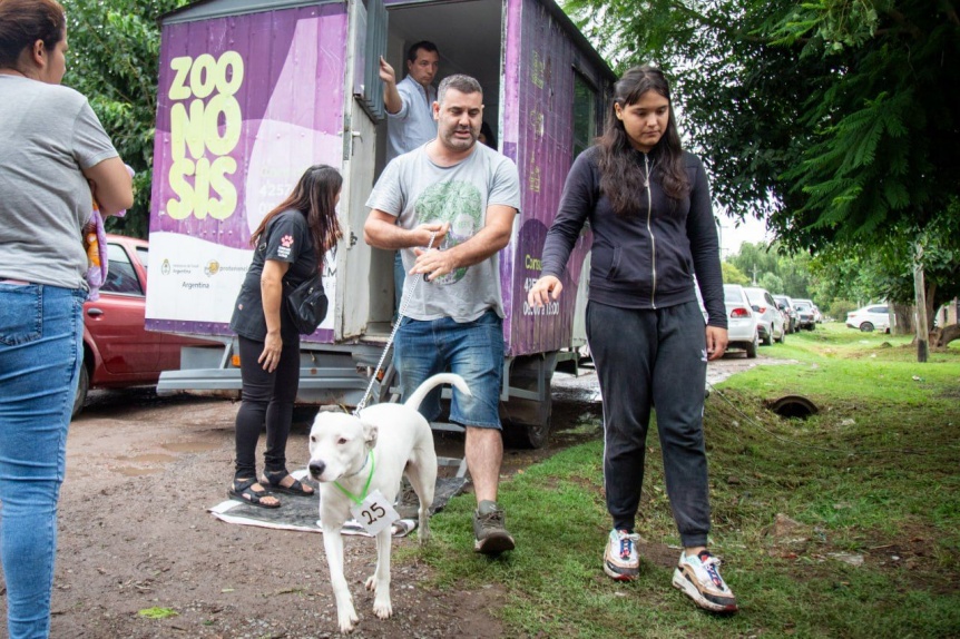 La Comuna realiz un nuevo operativo de Zoonosis en Quilmes Oeste: Castraron 60 animales