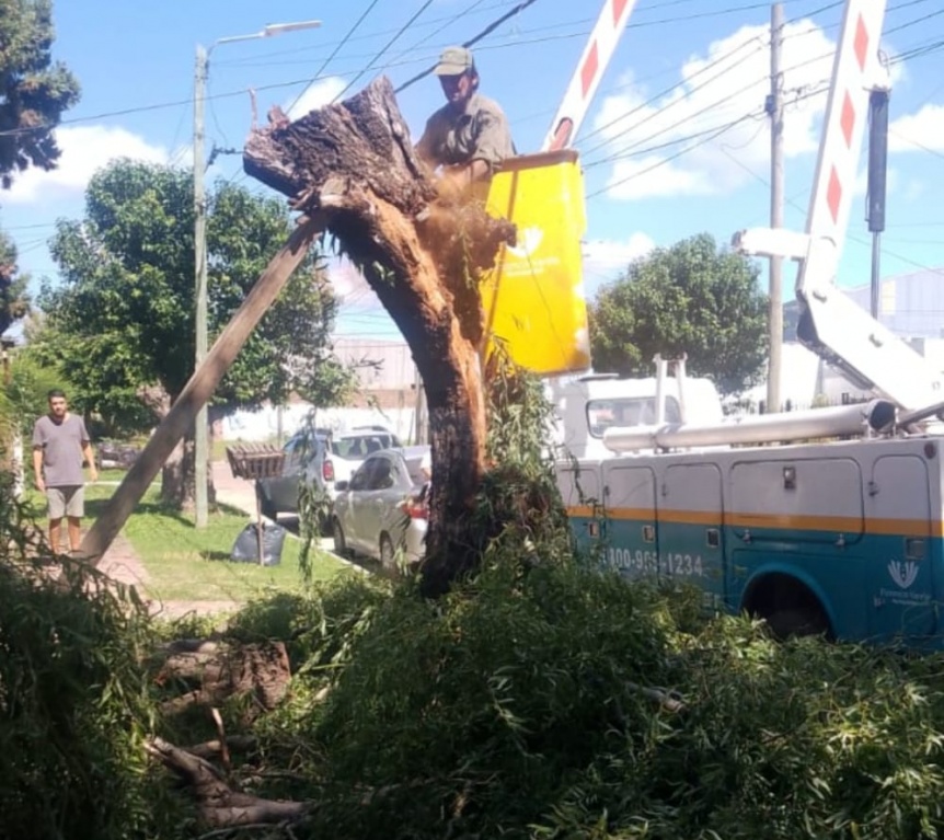 Florencio Varela: El Municipio continu tareas mitigando los efectos de la tormenta