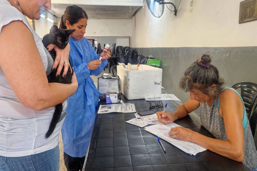 Berazategui: En marzo continan las jornadas municipales de salud animal